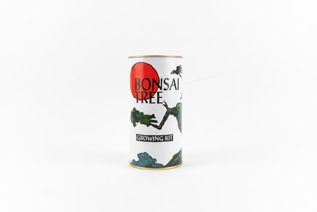 bonsai tree growing kit jonsteen company Grow a Tree Kits – Cape May Honey Farm